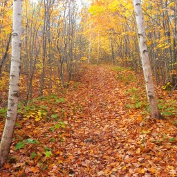 Fall Hiking